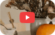TextScanr